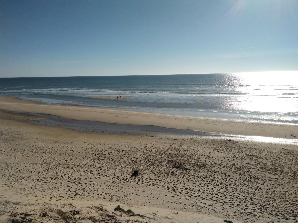 Zenzela Surf House Otel Naujac-sur-Mer Dış mekan fotoğraf